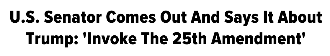 Headline: 'US Senator Comes Out And Says It About Trump: Invoke the 25th Amendment'